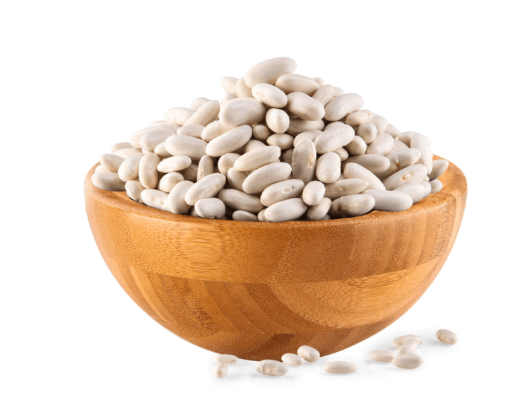 فاصوليا بيضاء