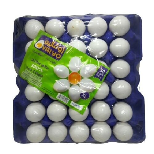 XL بيض اوفاليو مغلف