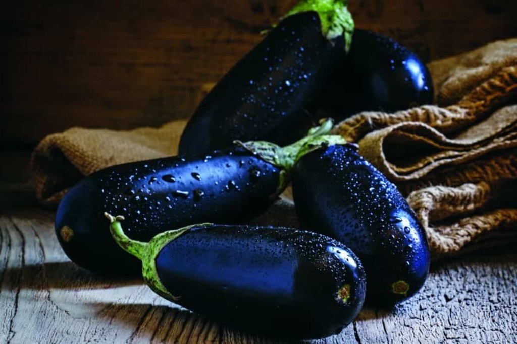 اسود رفيع عرض