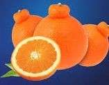 كنج فروت