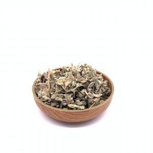 زعتر ورق ضفة