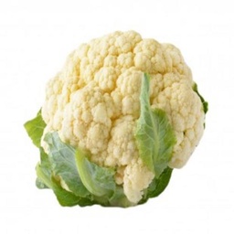 [3] زهرة نخب اول