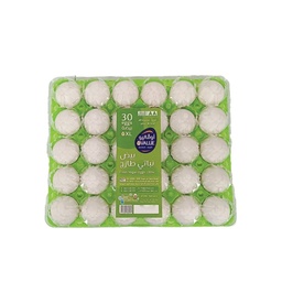 [7] علبة بلاستيكية 30 بيضة XL بيض اوفاليو