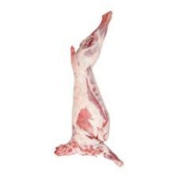 [00001] خروف افريقي