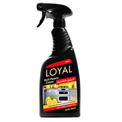 منظف المطبخ متعدد الأغراض 750 مل