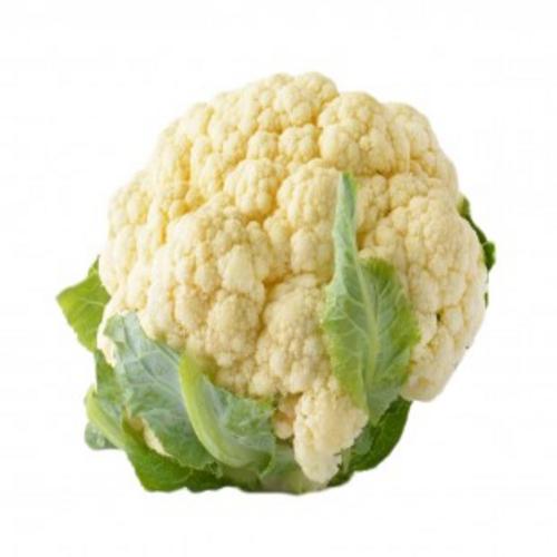 زهرة نخب اول