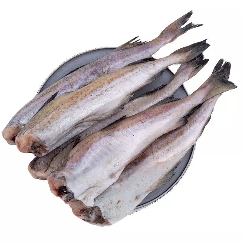 سمك عرموط زيرو بالكيلو