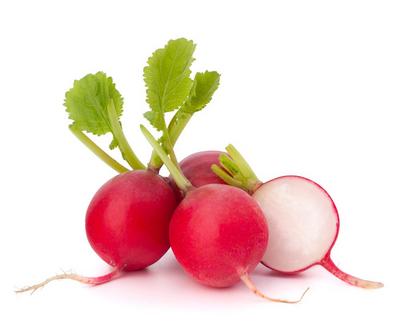 فجل