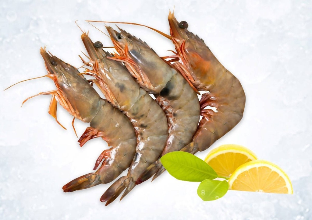 روبيان جامبو حبة كاملة بالكيلو