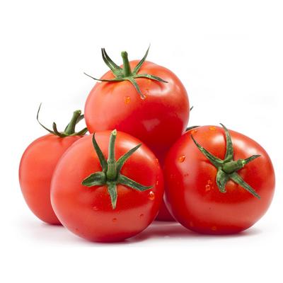 بندورة معلقة