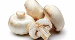 [ccc] فطر علبة