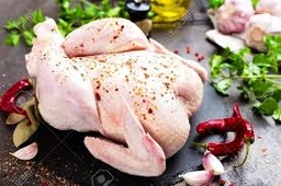 [00001] دجاج الجزيرة