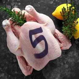 [1] فروج طازج 5 حبات