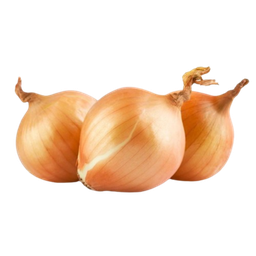 [00003] بصل بلدي